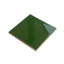 Terralis 6 x 6 po Carrelage carré en porcelaine brillante vert forêt foncé (paquet de 4,65 pieds carrés / boîte) - paquet de 19