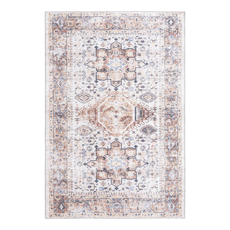 Nienke Oriental Indoor Rug, Rectangle 6' x 9'