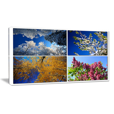 " Four Seasons Of Nature Collage "