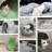Felt Nest Pet Bed-93925560-50510749
