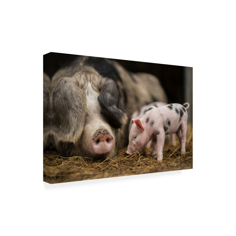 Art sur toile «Bachelor Gert Van Den Be Home For Dinner Children», H 12 po x l 19 po