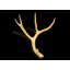 Gold Antler Medium
