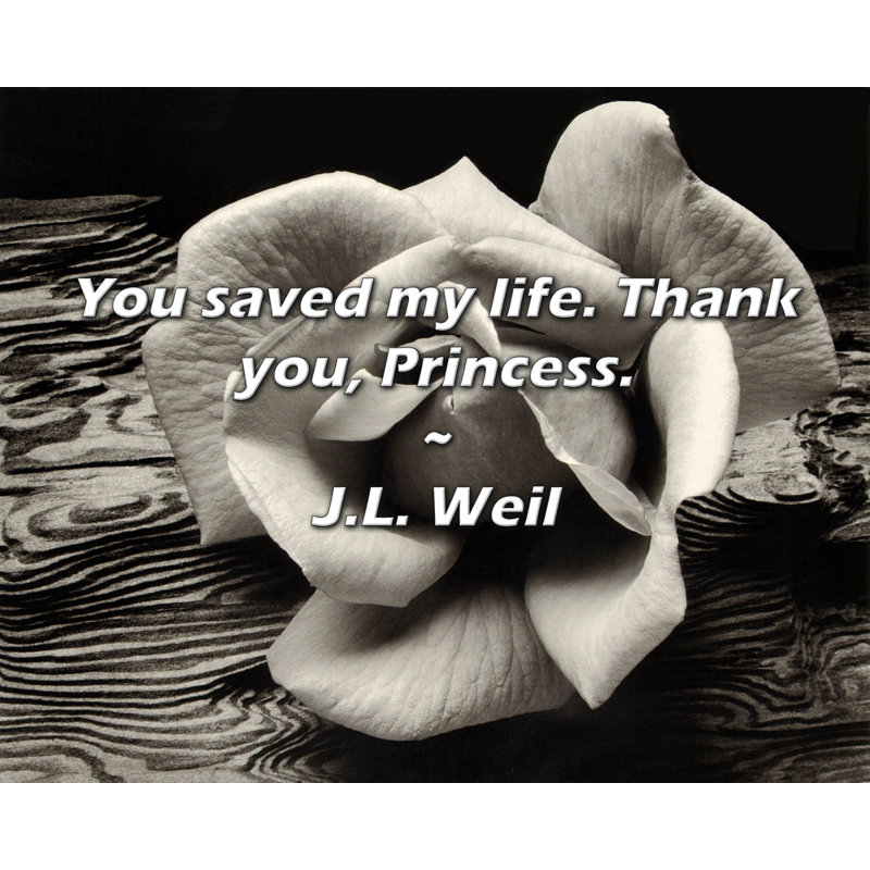 Citation de J.L. Weil: Vous m'avez sauvé la vie. Merci, princesse., H 26 po x l 32 po