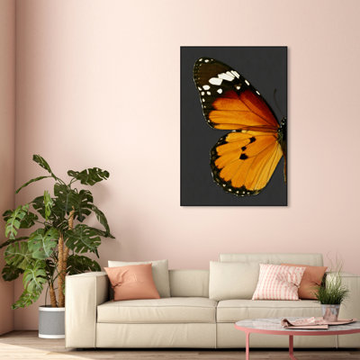 " Monarch And Grey Butterfly I "