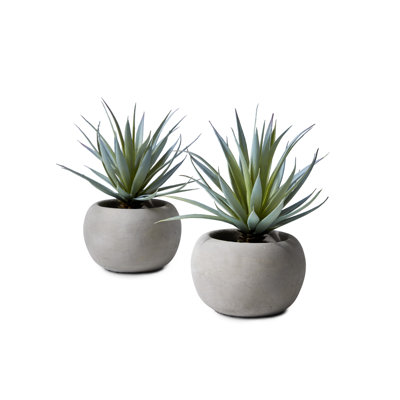 8'' Evergreen Grass in Stone Pot