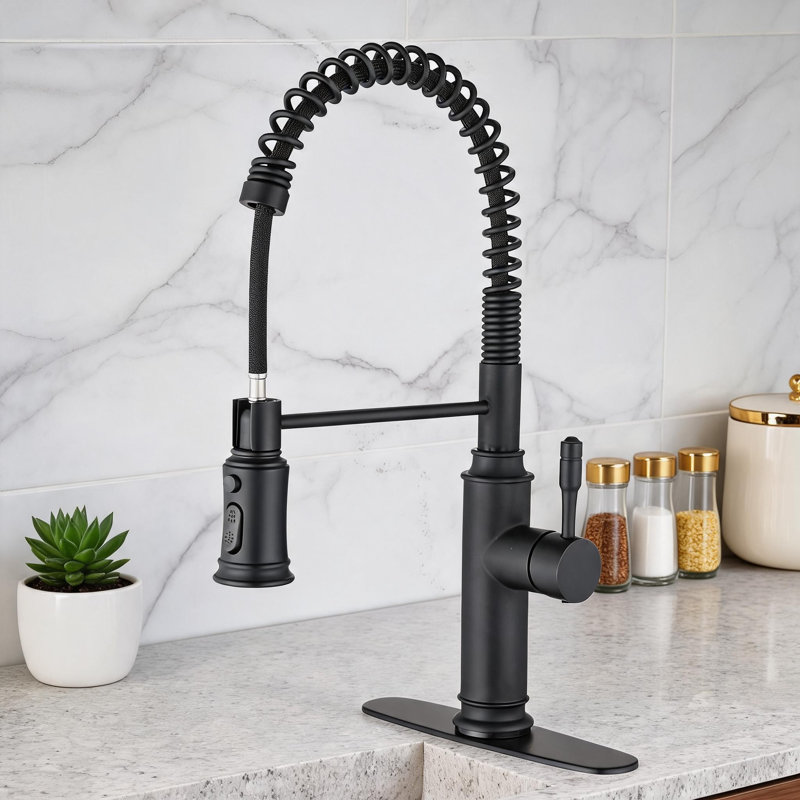 Robinet de cuisine en acier inoxydable noir mat avec douchette extractible