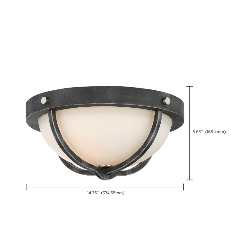 Plafonnier encastré en forme de bol de style spectaculaire et unique 2 lumières 14,75 po Lenore