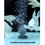 Réservoir d'aquarium intégré en verre ultra-transparent intégré-1859319781