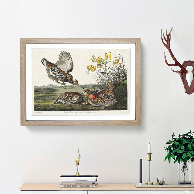 Pinnated Grouse Birds by John Audubon - Framed Print, 36cm H x 48cm W x 2cm D, Oak Framed