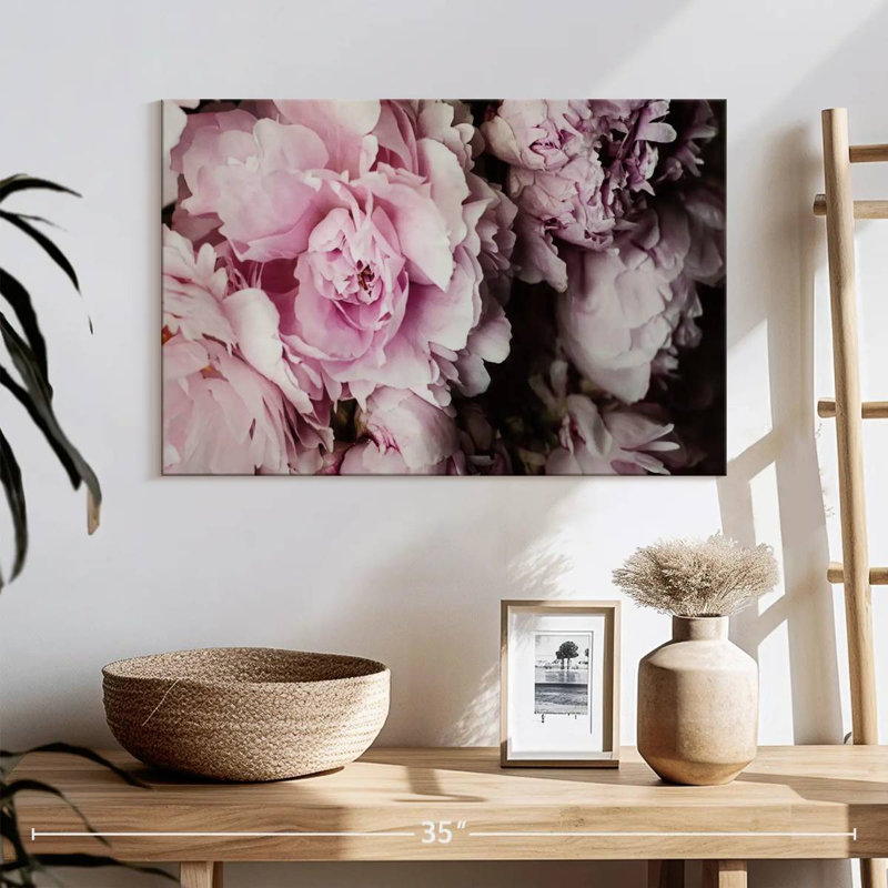 Pivoines Harnek Galore II, H 16 po x l 24 po
