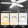 Mintun 48'' Ceiling Fan with Light