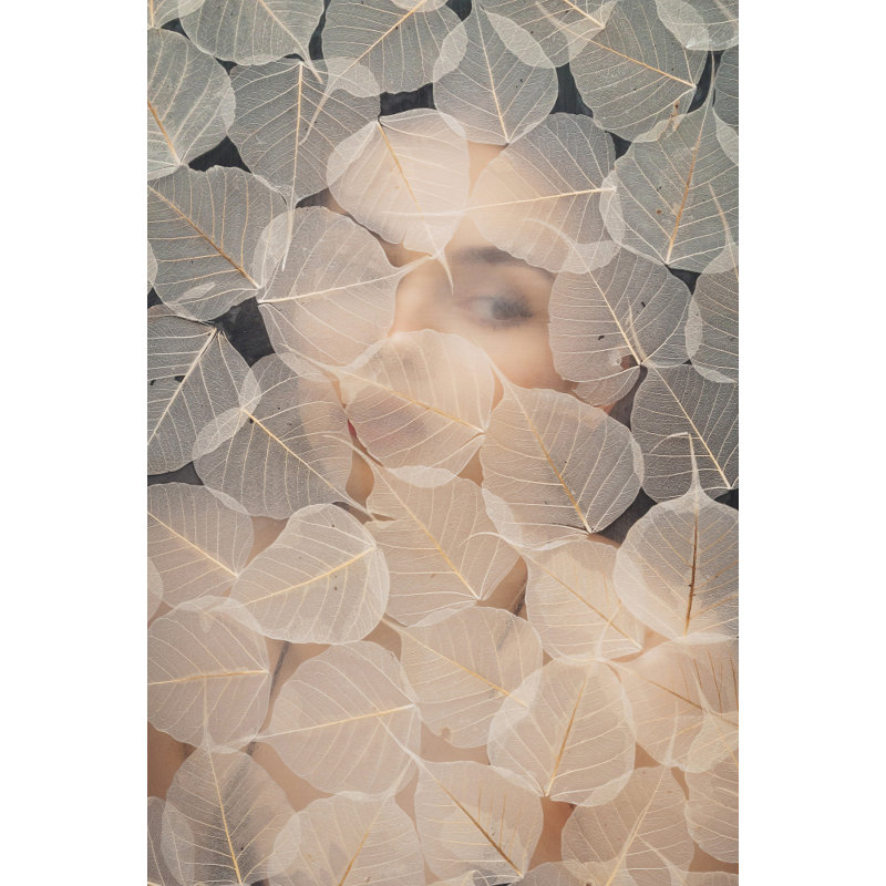 Wrapped Canvas Print, 76.2 cm H x 50.8 cm W