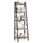 Ladder Bookcase