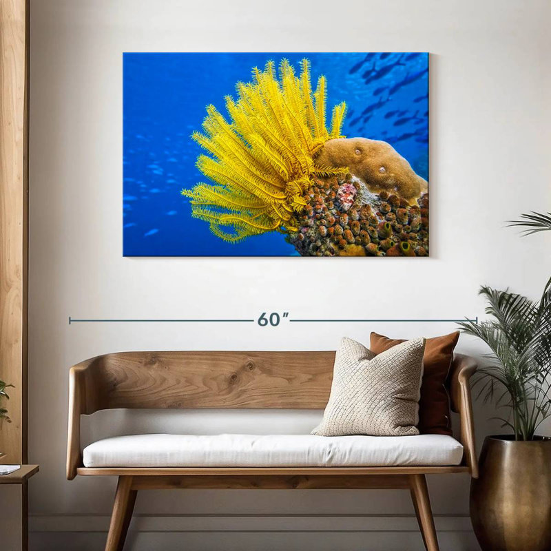 Brampt Yellow Feather Starfish, 30" H x 45" W