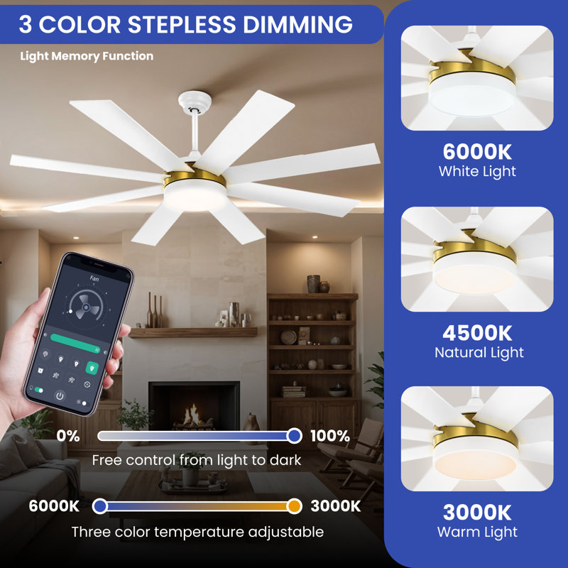 Chemane 60'' Ceiling Fan with LED Lights, White, Gold/White