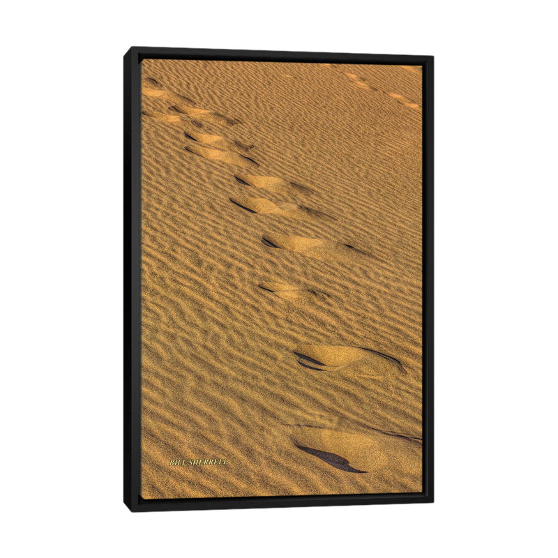 «Footprints In The Sand» par Bill Sherrell, impression sur toile tendue, H 26 po x l 18 po x P 1,5 po, Toile avec cadre noir