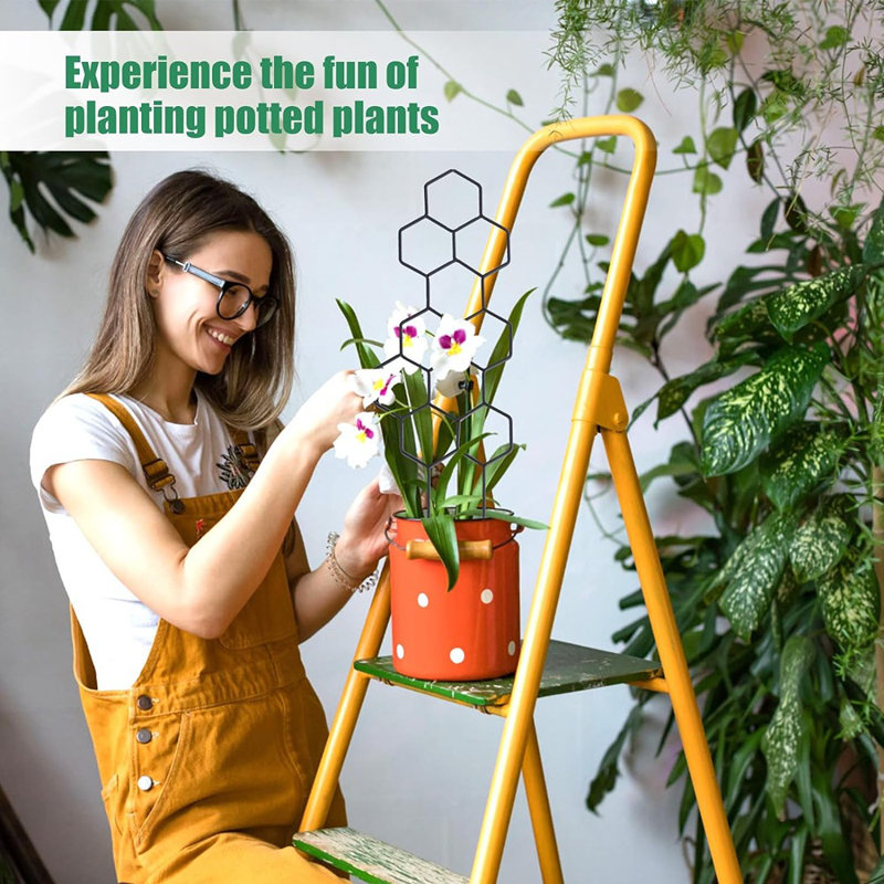 Petit treillis pour plantes en pot, plante en métal 15,94 pouces