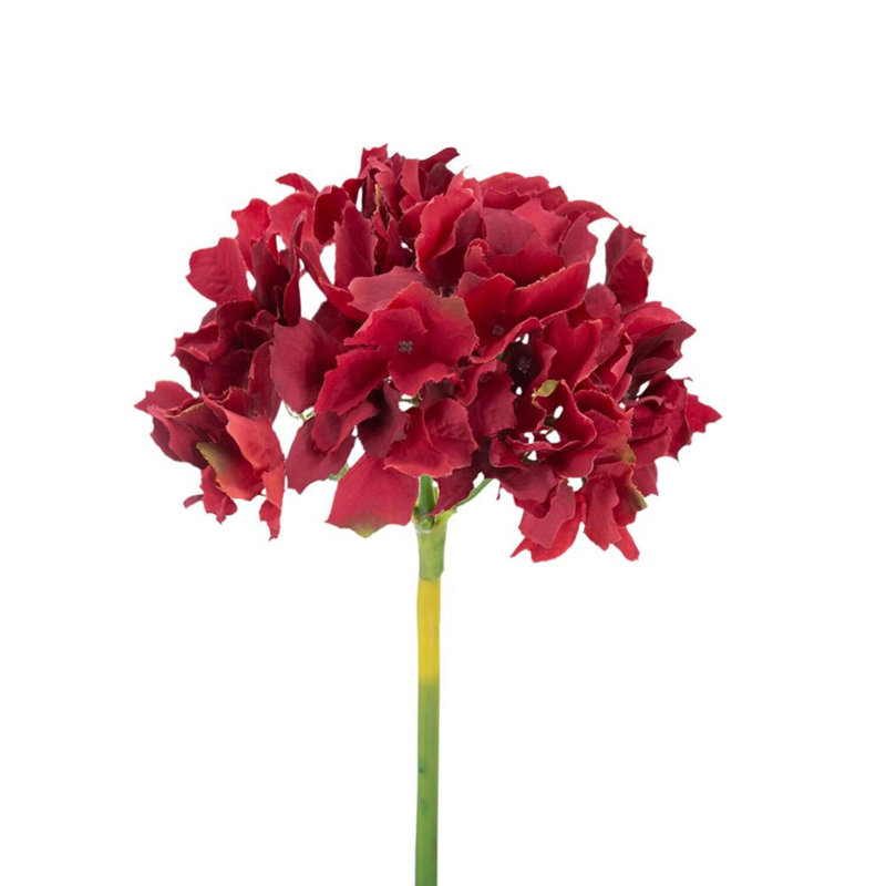 Fausse tige d'hortensia, Orange foncé