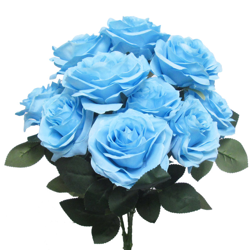 Grand rosier Jaafer Deluxe, Bleu pastel