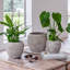 Ceramic Pot Planter