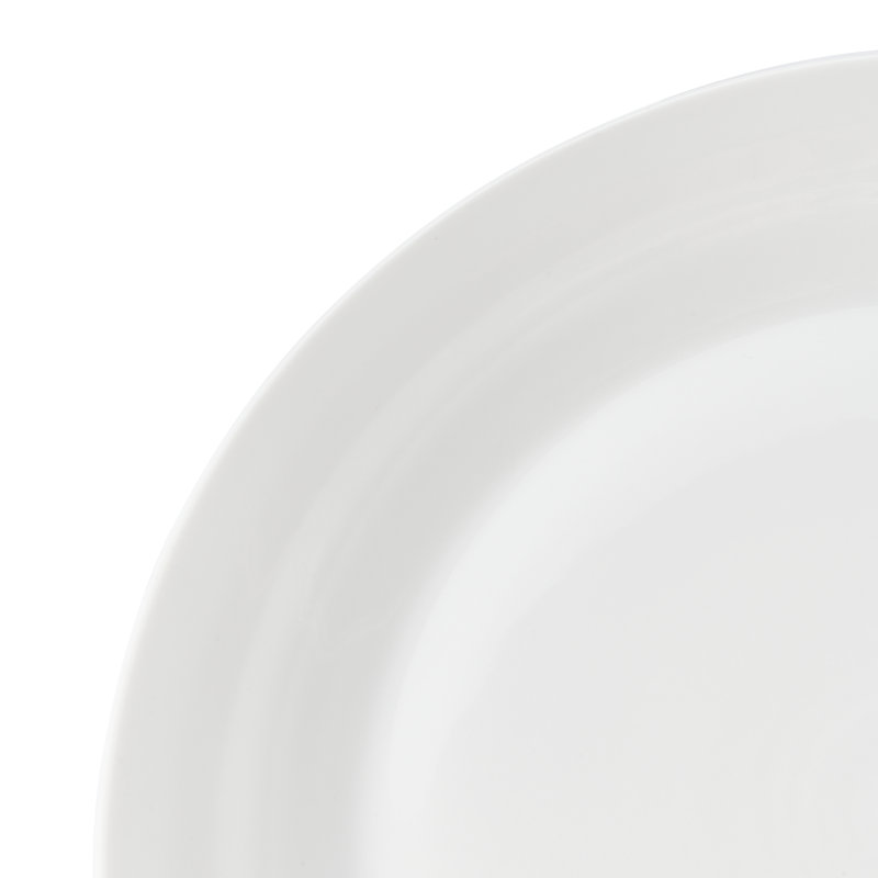 4 Piece Dinner Plate Set
