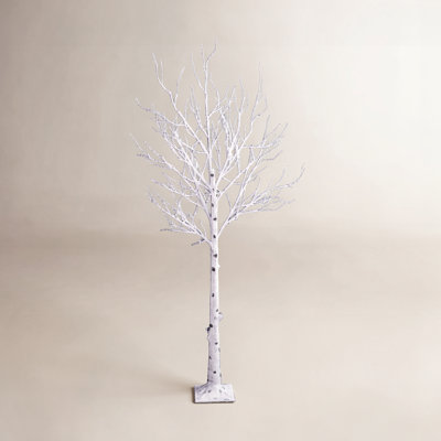 Lighted Trees & Branches