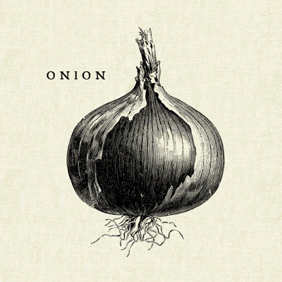 Linen Vegetable BW Sketch Onion by Studio Mousseau - No Frame Painting on Canvas