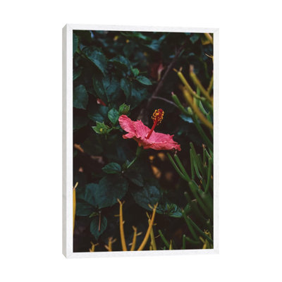 California Bloom by Bethany Young - Print on Canvas