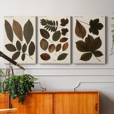 " Autumnal Leaves I " 3 Piece Art Color Photography Print