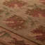 Patricia Rodi x Livabliss Otis Rug-262133349-262133357