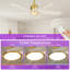 Ventilateur de plafond moderne Karlena de 52 po avec lumière et télécommande (ensemble de 2)-133011334
