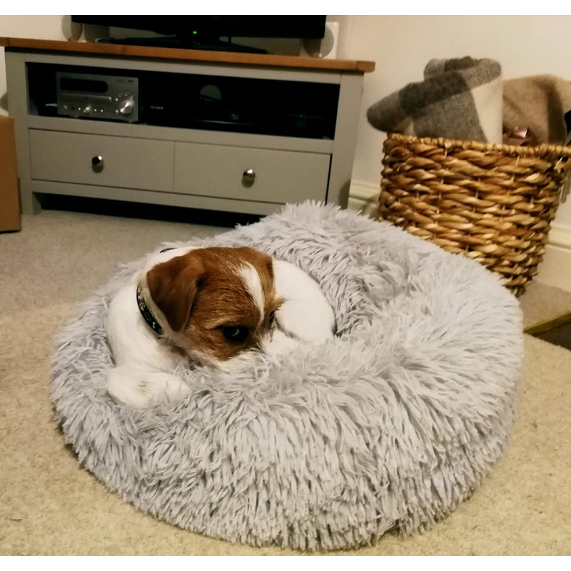 Jaiden Orthopedic Fleece Pet Bed, 50cm W x 50cm D, Grey
