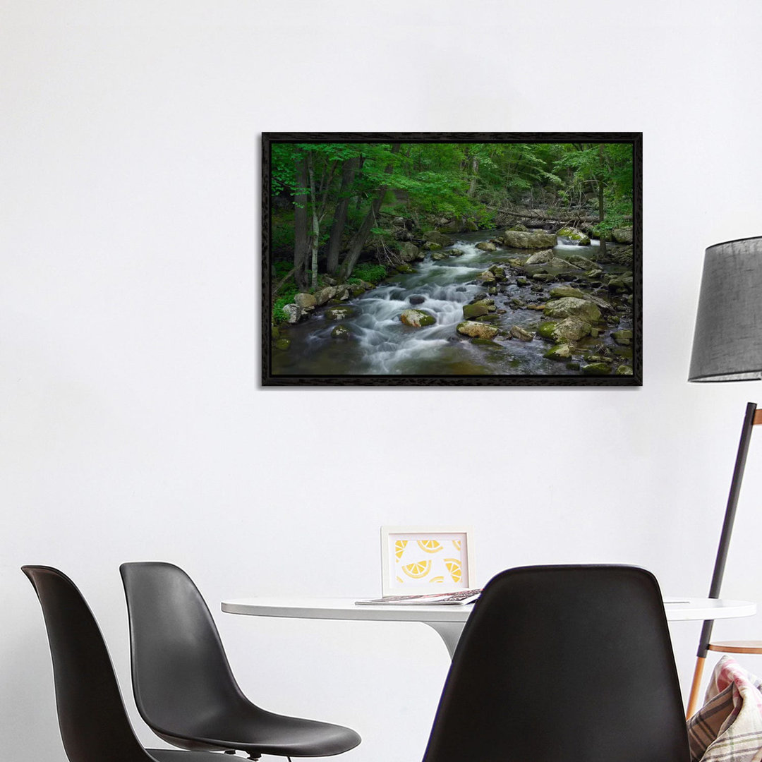 Little Stony Creek Flowing Through Jefferson National Forest, Virginia von Tim Fitzharris - Gallery-Wrapped Canvas Giclé...