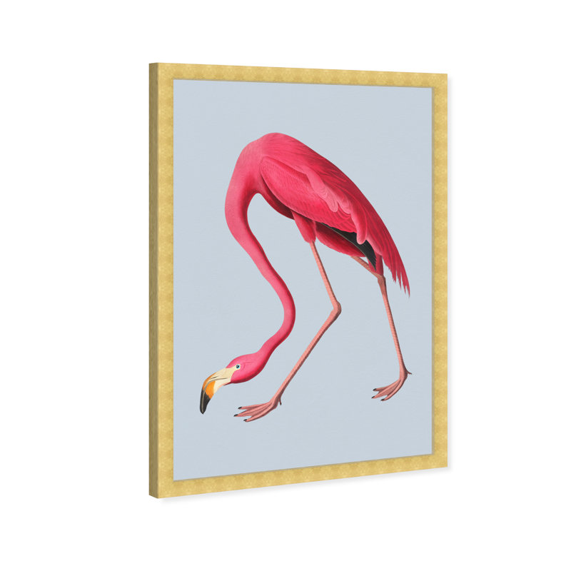 «Flamingo on Grey Ice» par Oliver Gal - impression encadrée, Or, H 15 po x l 10 po x P 1,5 po