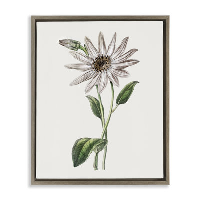 Cadre flottant Vintage Mum Sprig, design par CAD Designs