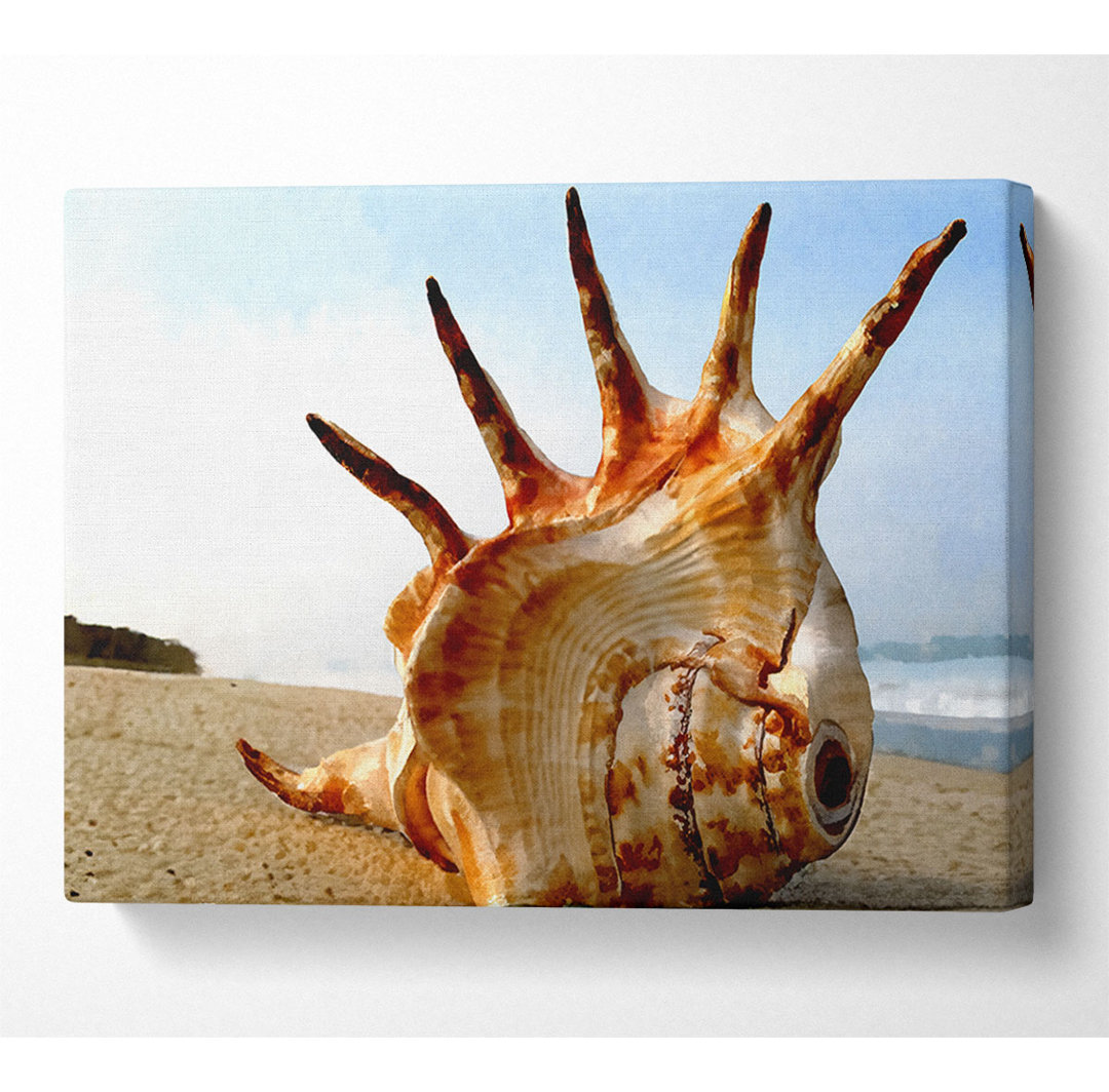 Wellhornschnecke am Strand - Druck