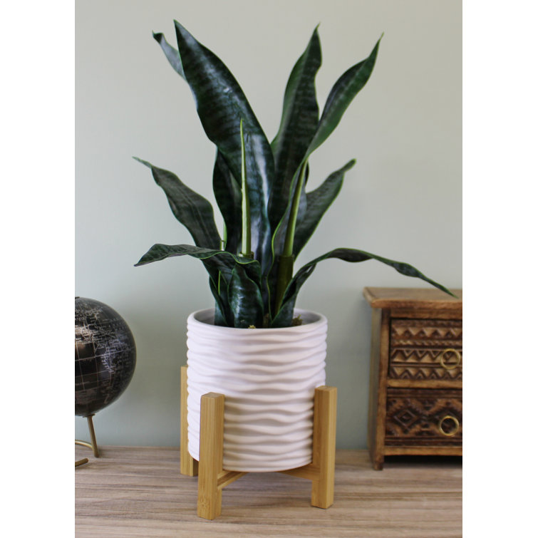 Fjørde & Co Jenne Stone Plant Pot & Reviews | Wayfair.co.uk