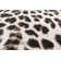 Anyssa Animal Print Area Rug
