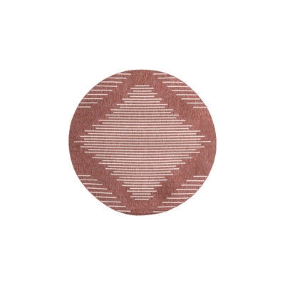 Striped Indoor / Outdoor Rug