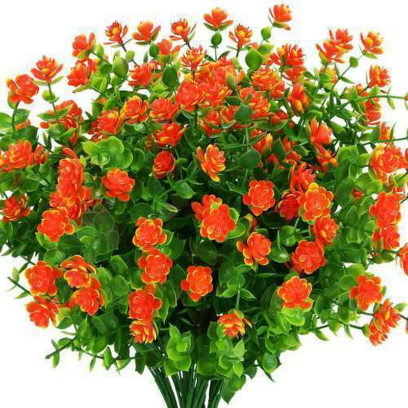 Arrangement mixte, Orange