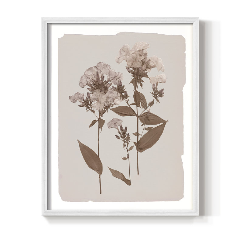 Impression encadrée monochrome Botanical II - bois massif, H 15 po x l 12 po, Blanc
