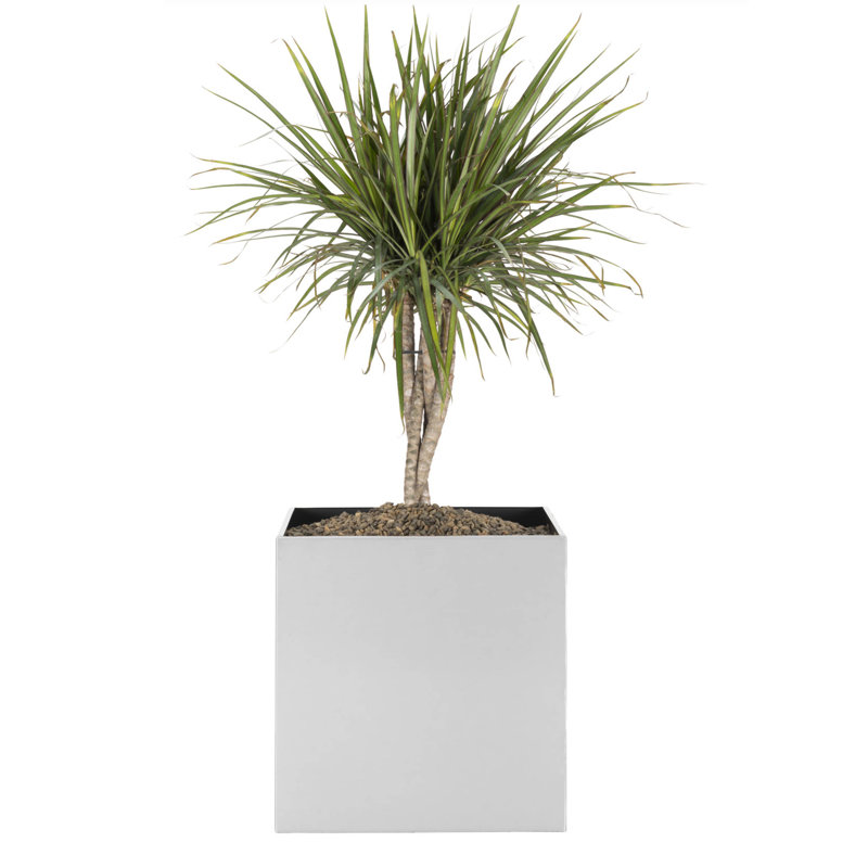 Boîte à fleurs en aluminium Whitford, H 16 po x l 16 po x P 16 po