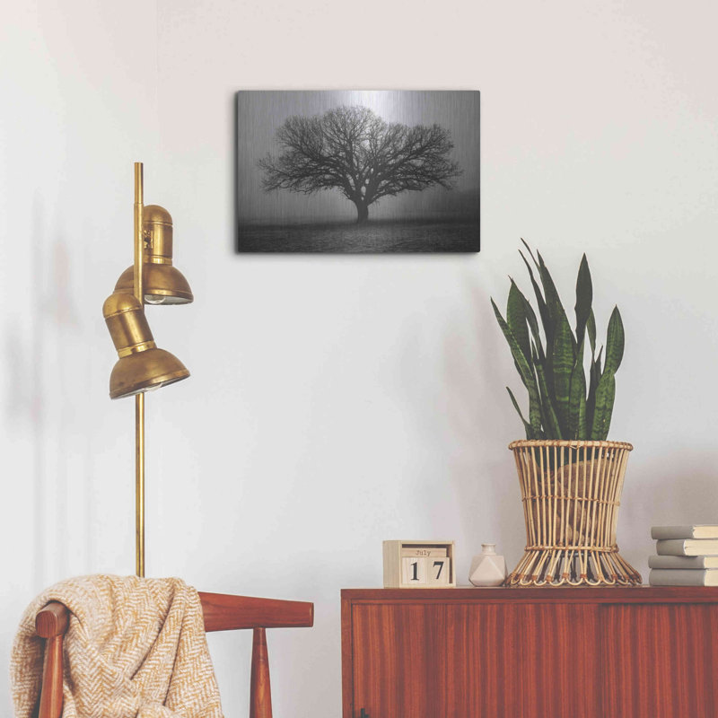 «Evening Mist» par Debra Van Swearingen, H 16 po x l 24 po