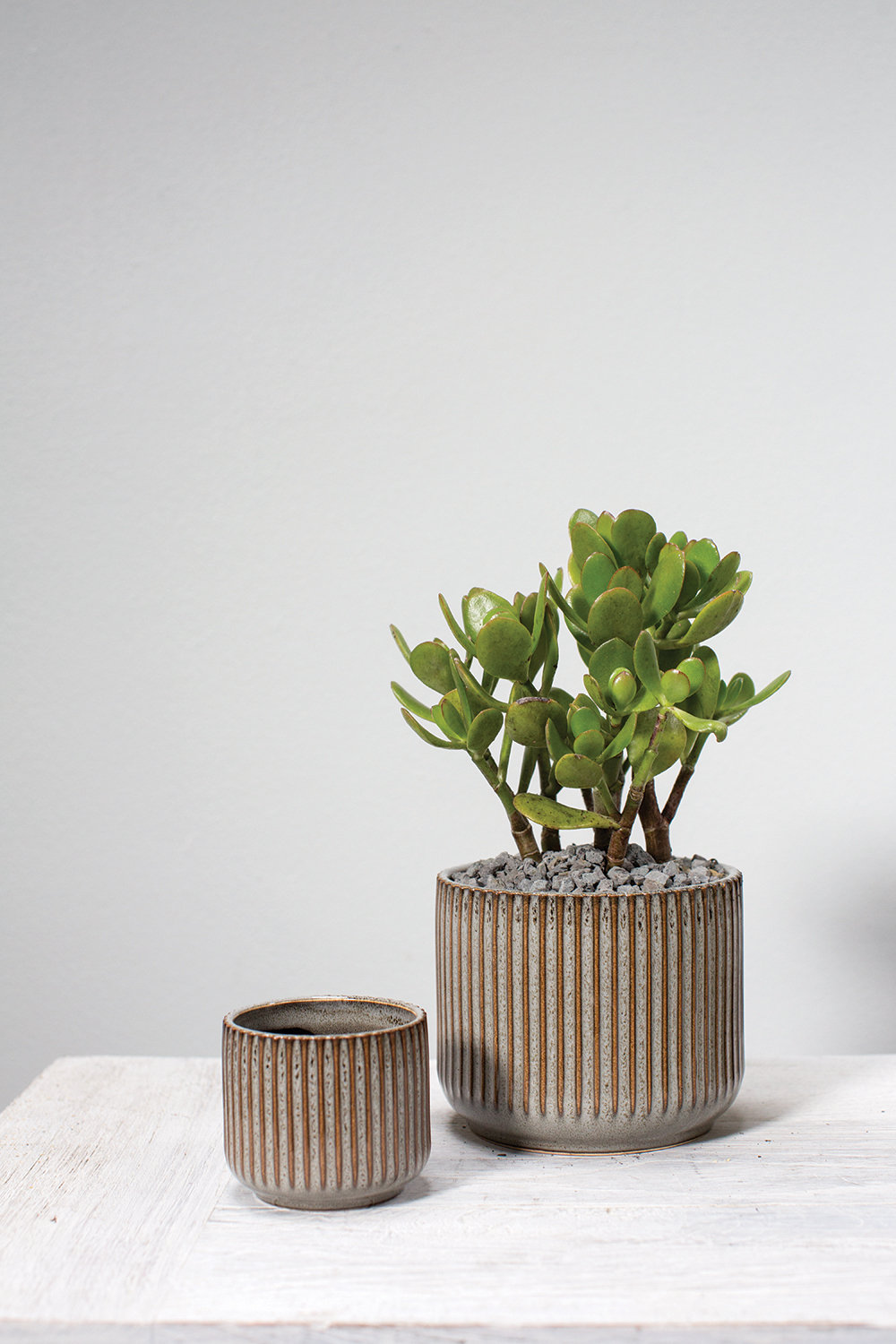 7" Ceramic Pot Planter