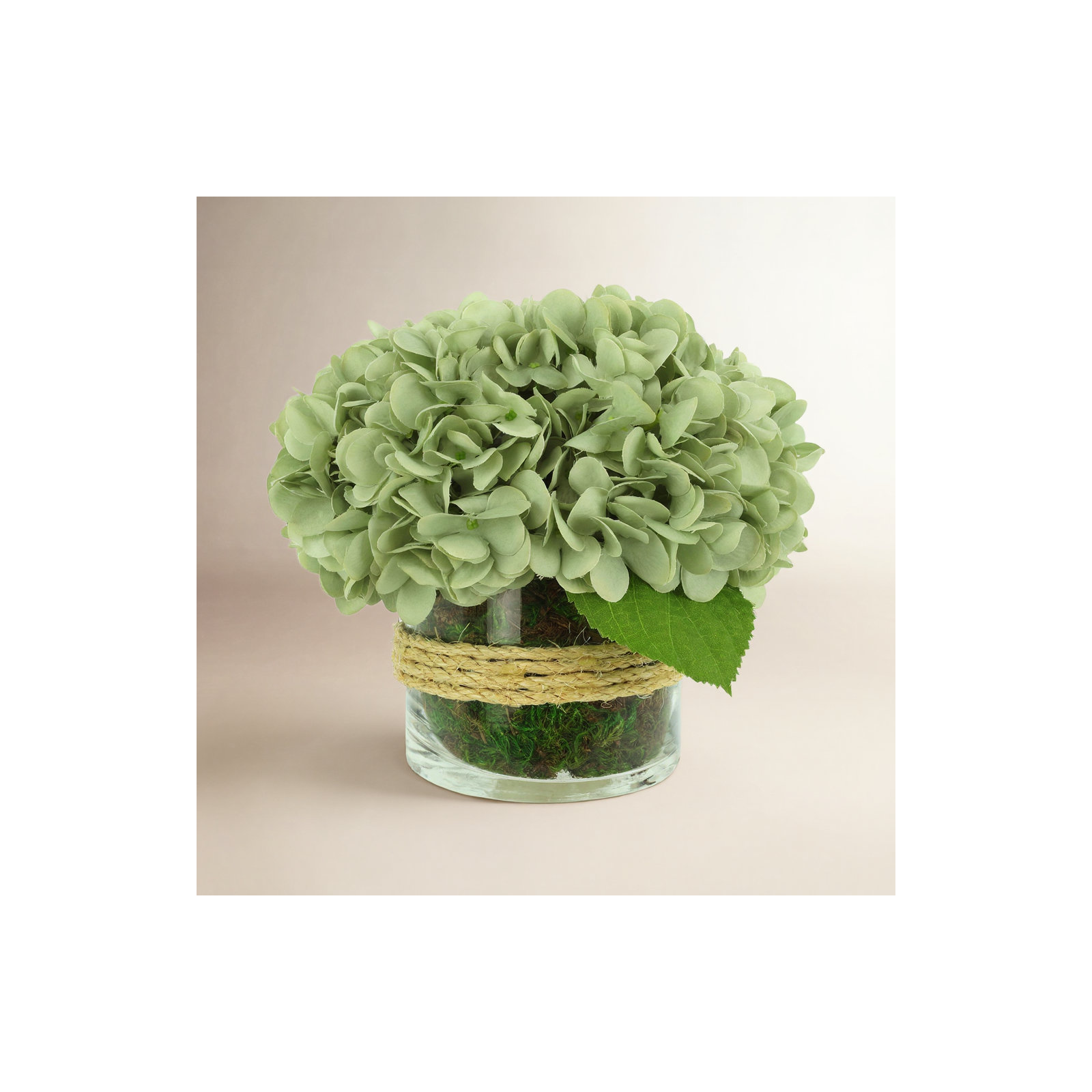 Hydrangea in Glass vase with Moss, Green