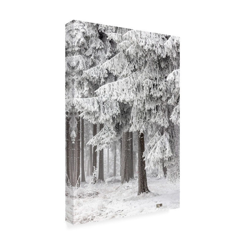 Art sur toile, "Mareike Bohmer Winter Forest 2", H 12 po x l 19 po