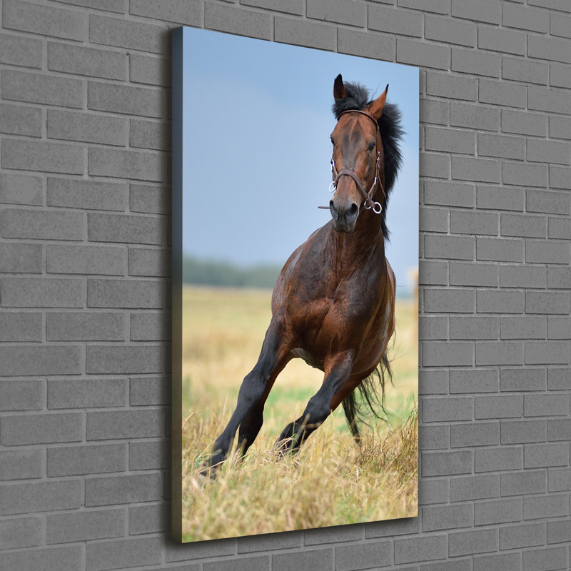 Horse On The Field - Wrapped Canvas Print