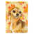 Chihuahua blond / brun sélectionné