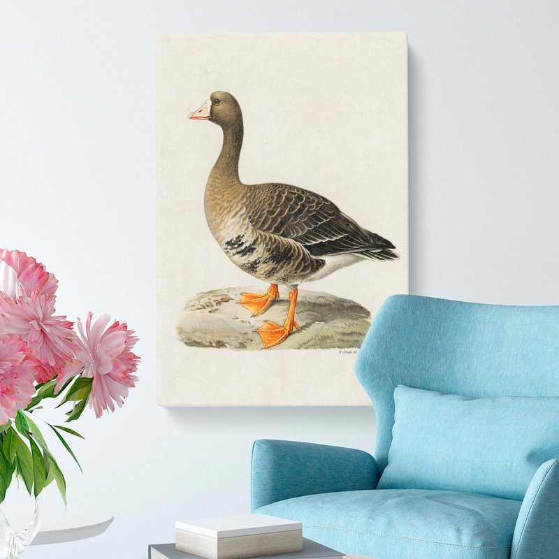White-fronted Goose by Von Wright - Wrapped Canvas Painting, 60cm H x 40cm W x 3cm D