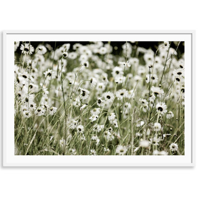 Wild Flowers Print by Carly Tabak